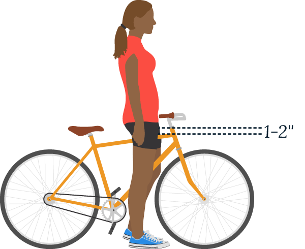 Image for boston by bike frame size