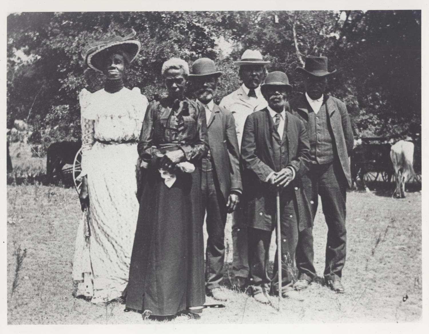 Image for emancipation day celebration 1900 06 19