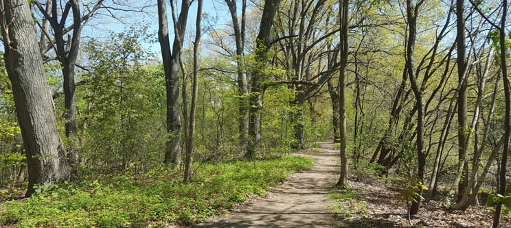 Image for a photo of olmsted park