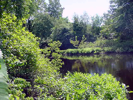 Motherbrook at Reservation Road
