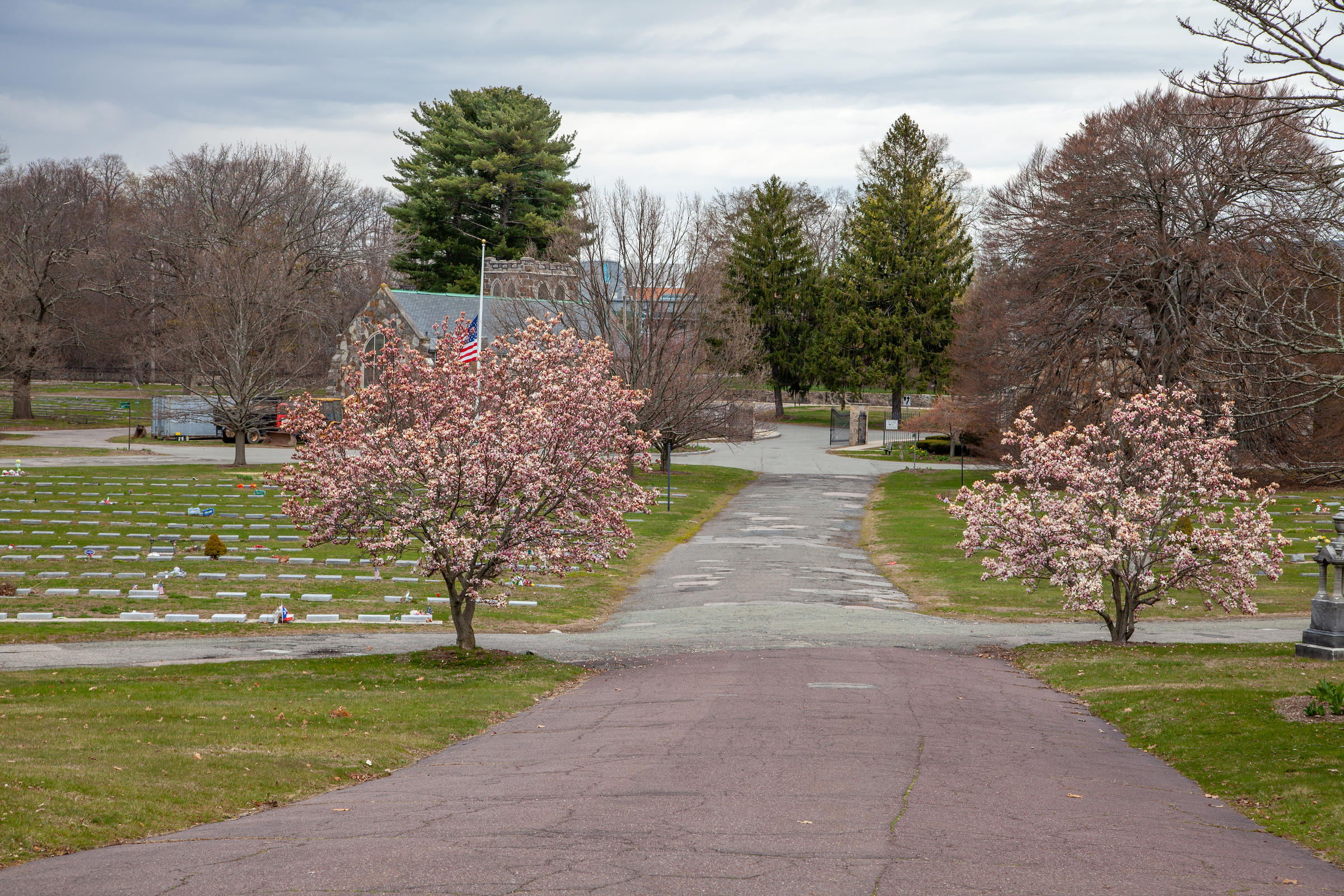 spring view in Mount Hope Cemetery (Charlie Rosenberg)