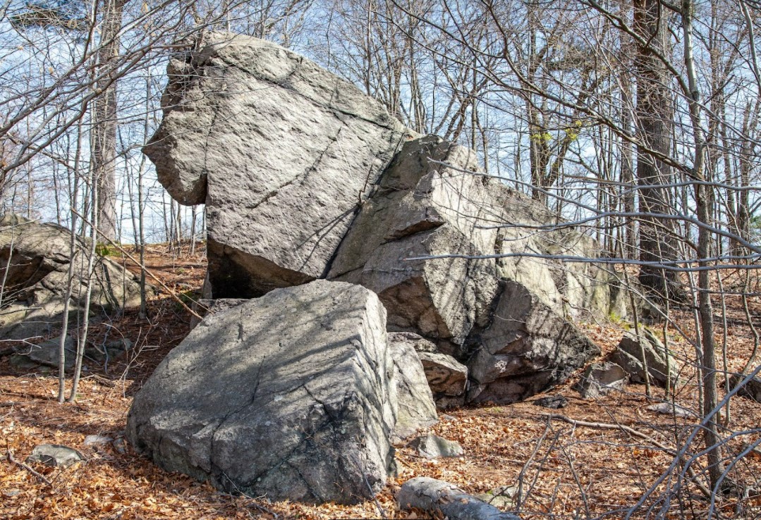 Roxbury Puddingstone Outcropping in Mount Hope Cemetery 2