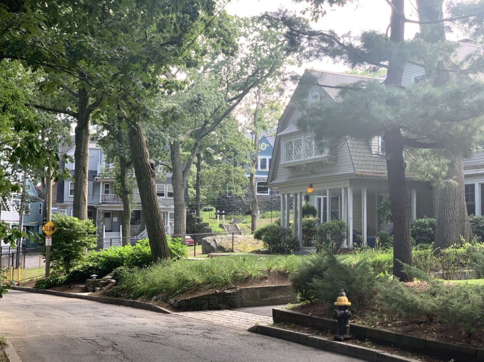 A view of the landscape of Selkirk Road.