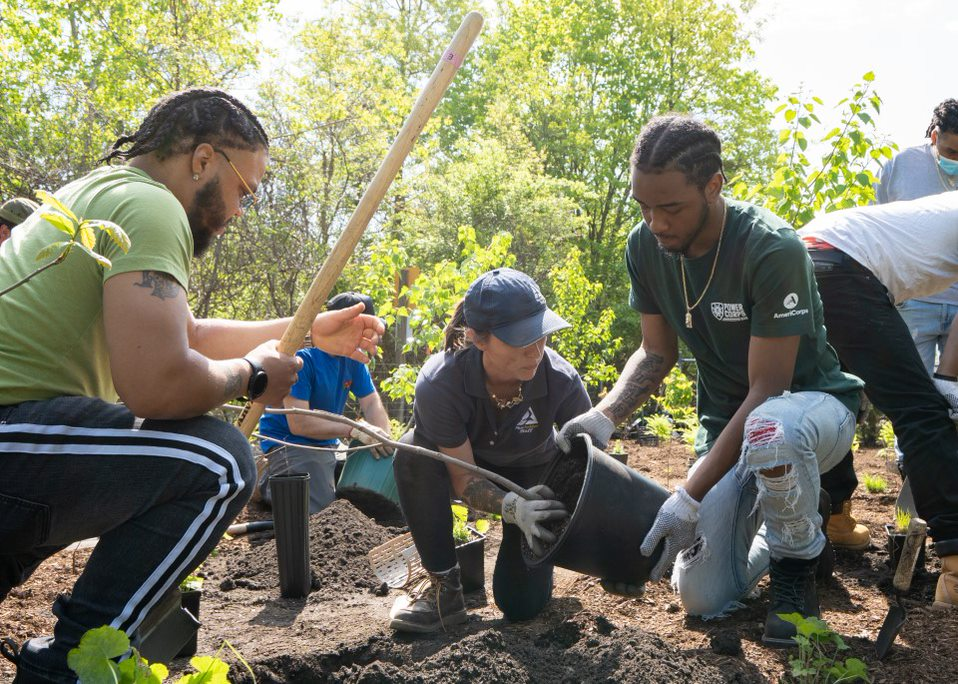 tree planting