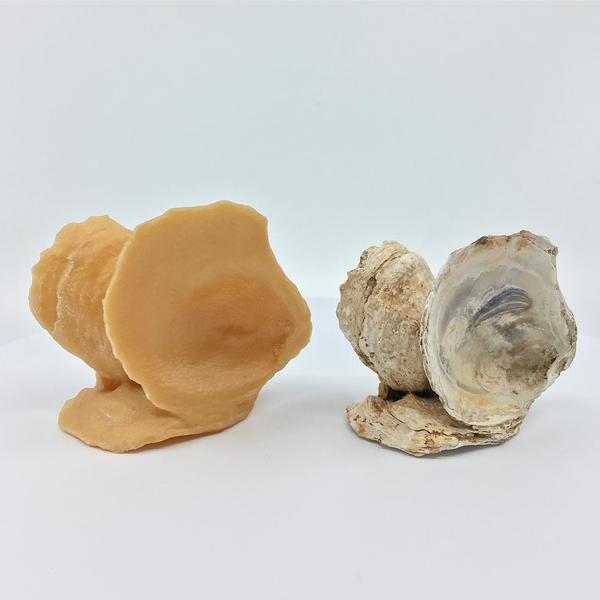 A cluster of oyster shells beside a 3D printed replica in gold