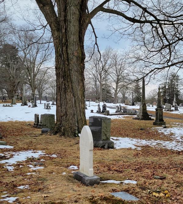 Grimke Weld plot at Mount Hope