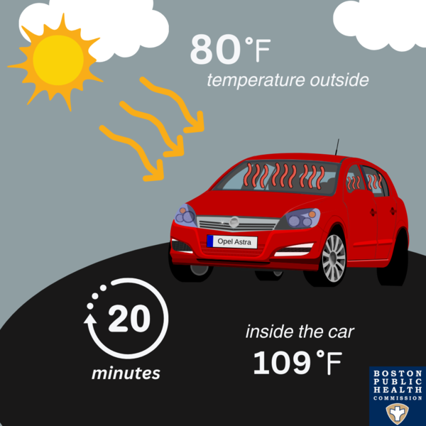 In just 20 minutes in 80 degree heat the inside of a car will reach 109 degrees