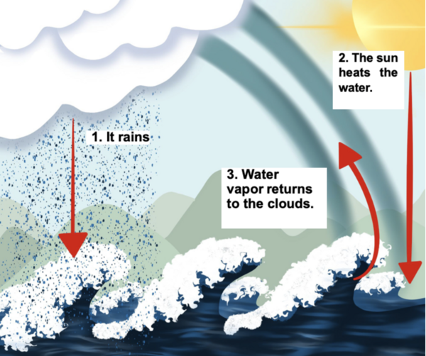 Water Cycle