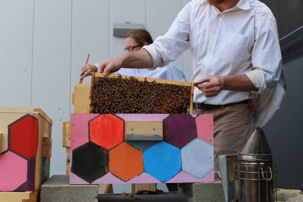 a multi-colored painted beehive