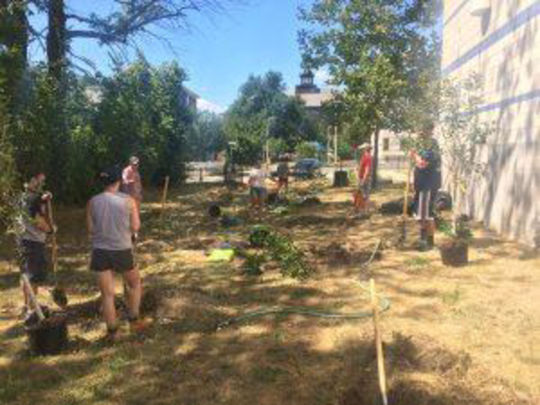 a group of people planting apple trees of orchard gardens pilot school in roxbury