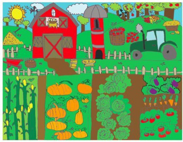a drawing of a farm with a farmhouse, tractor, and various vegetables
