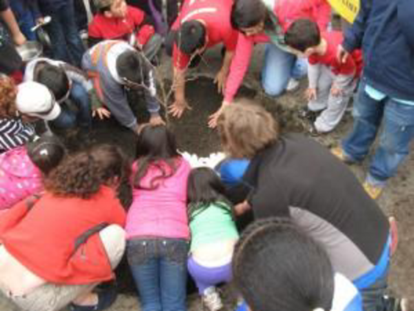 a group of children planting a tree