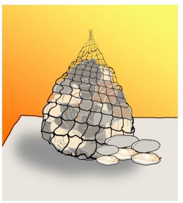 drawing of a mesh bag of clams