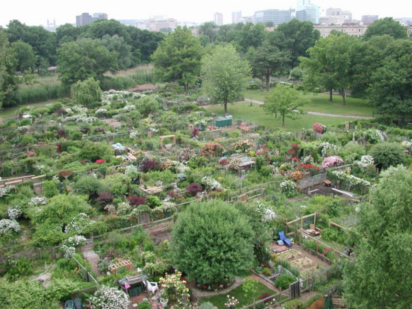 aerial image of a community garden