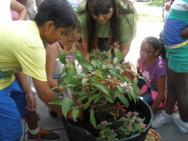 a group of children standing and sitting around a potted plant, some of whom are tending to it