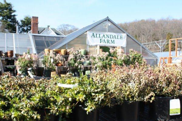image of a farm with a sign hanging from a building reading "Allandale Farm"