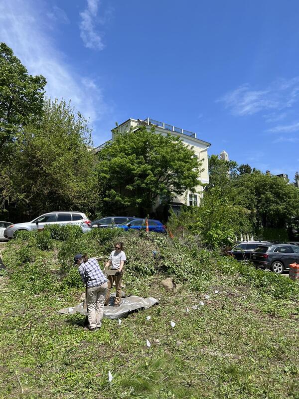 Two archaeologists are digging a line of test pits in an open yard space with a historic house in the background