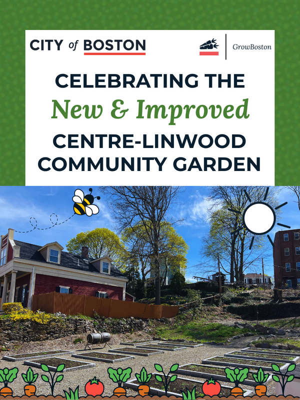 A stylized photo of the newly renovated Center-Linwood Community garden