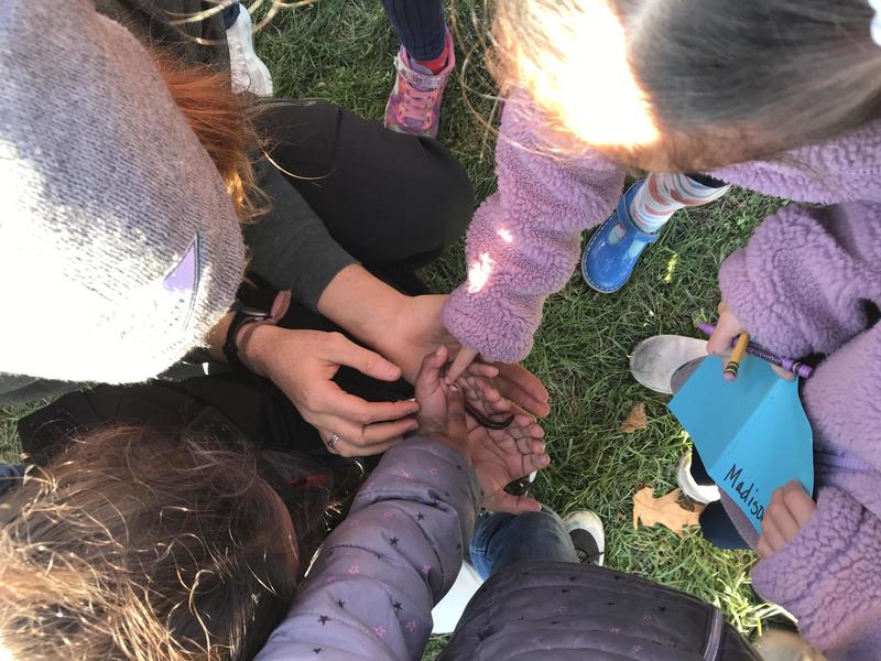 Students find a worm and rush to feel it in their hands before returning it to safety in the garden bed.