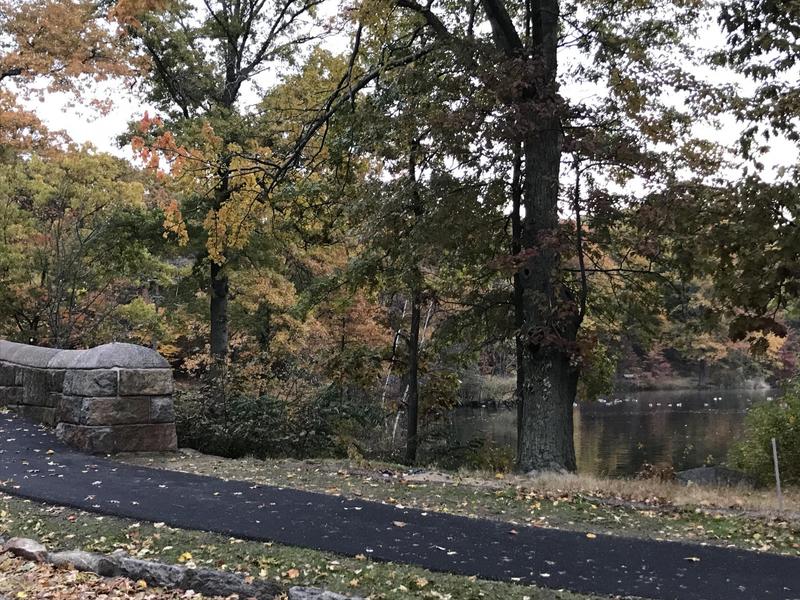 Franklin Park "After" Photo