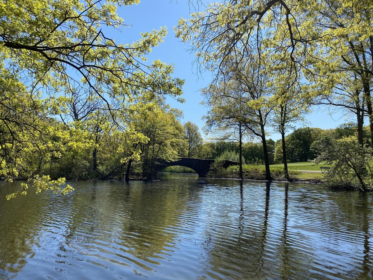 Scarboro Pond from Franklin Park