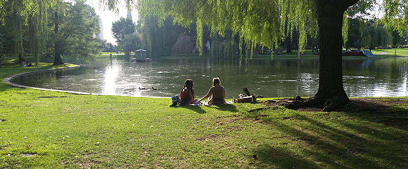 Image shows two people sitting together by a body of water and a willow tree next to them. 