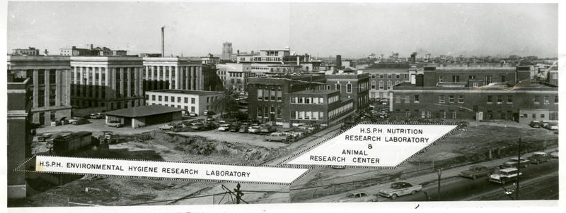 Construction Site for Harvard School of Public Health's New Research Buildings, 1961