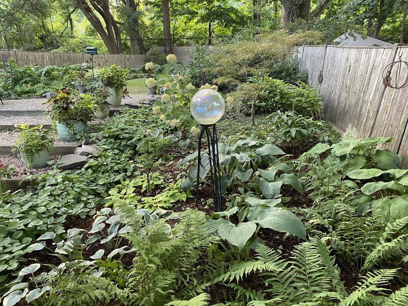 garden contest shade winner 20