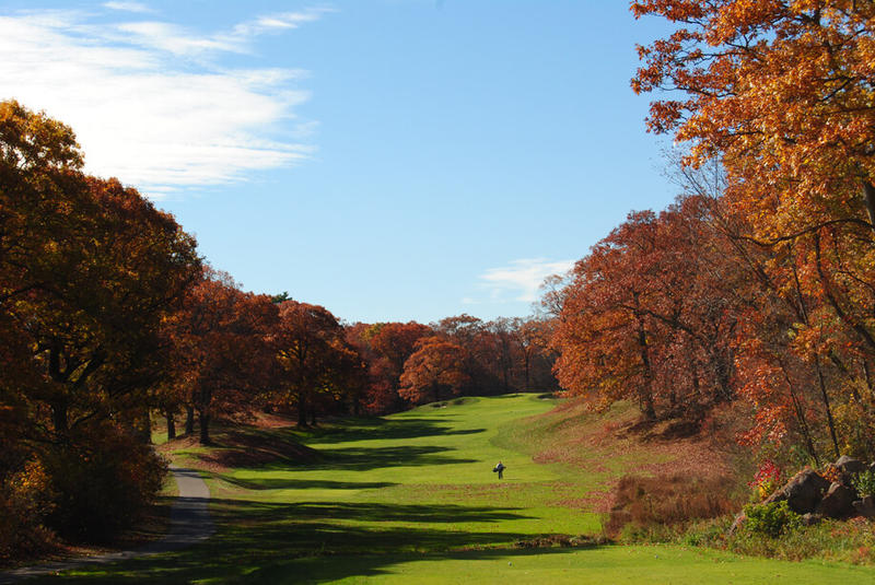 Fall Foliage at George Wright Golf Course