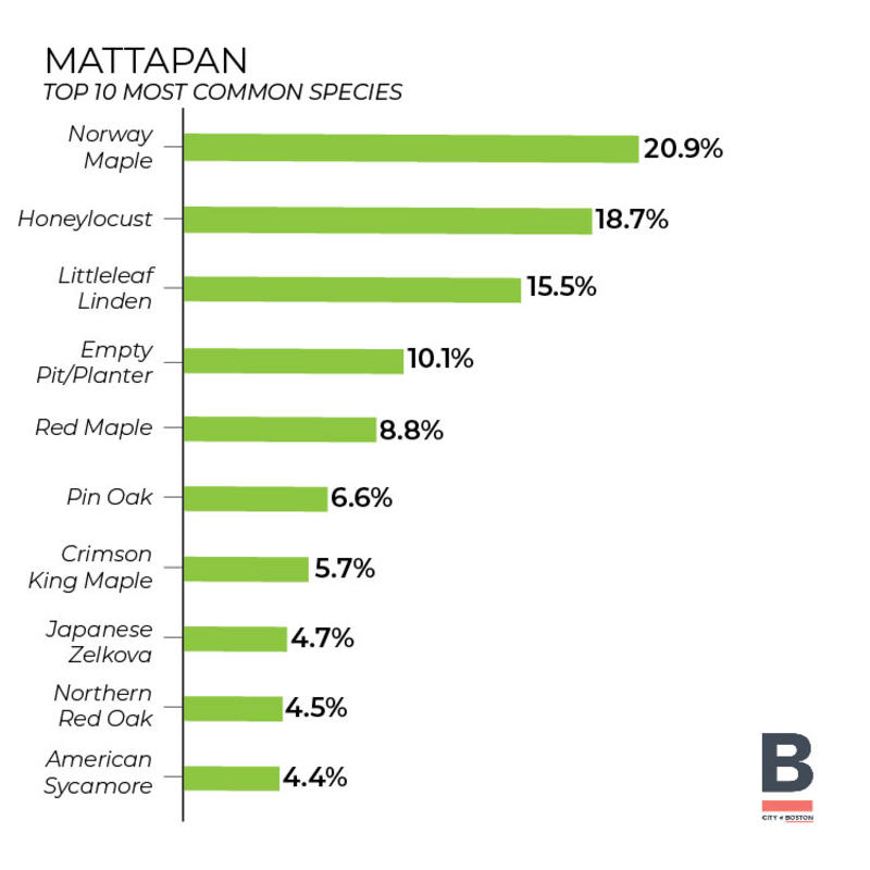 Tree Inventory - Mattapan (bar Graph) 