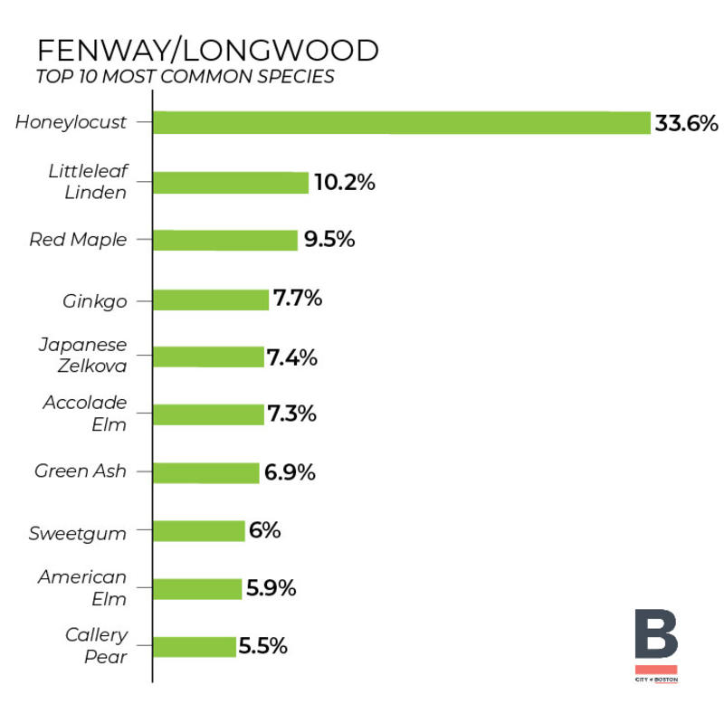 Fenway-Longwood tree inventory