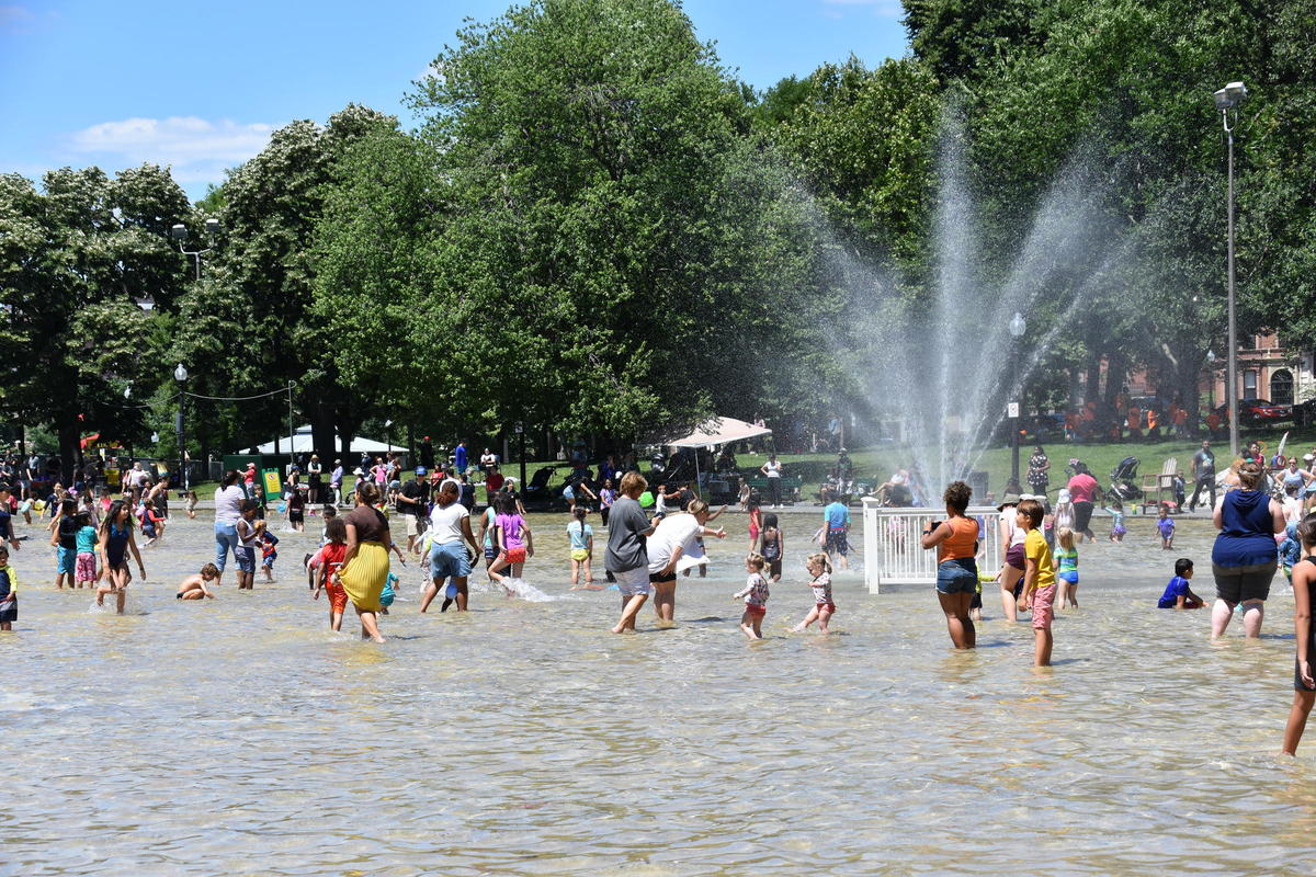 frog pond opening
