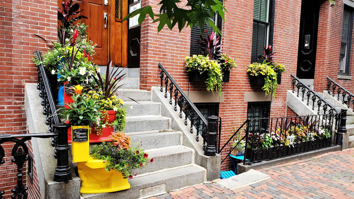 Tsalagas - First Place Porch or Container