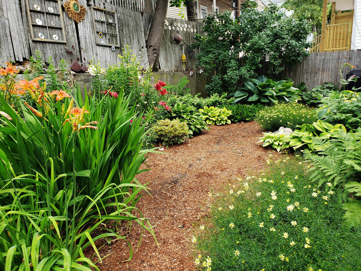 Simon - 3rd Place Age Strong