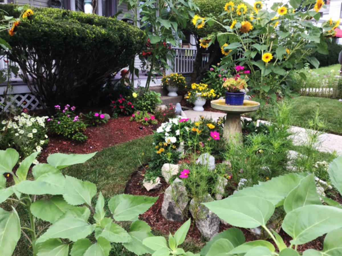 Carroll Thomas - 1st Place Main Street or Organization