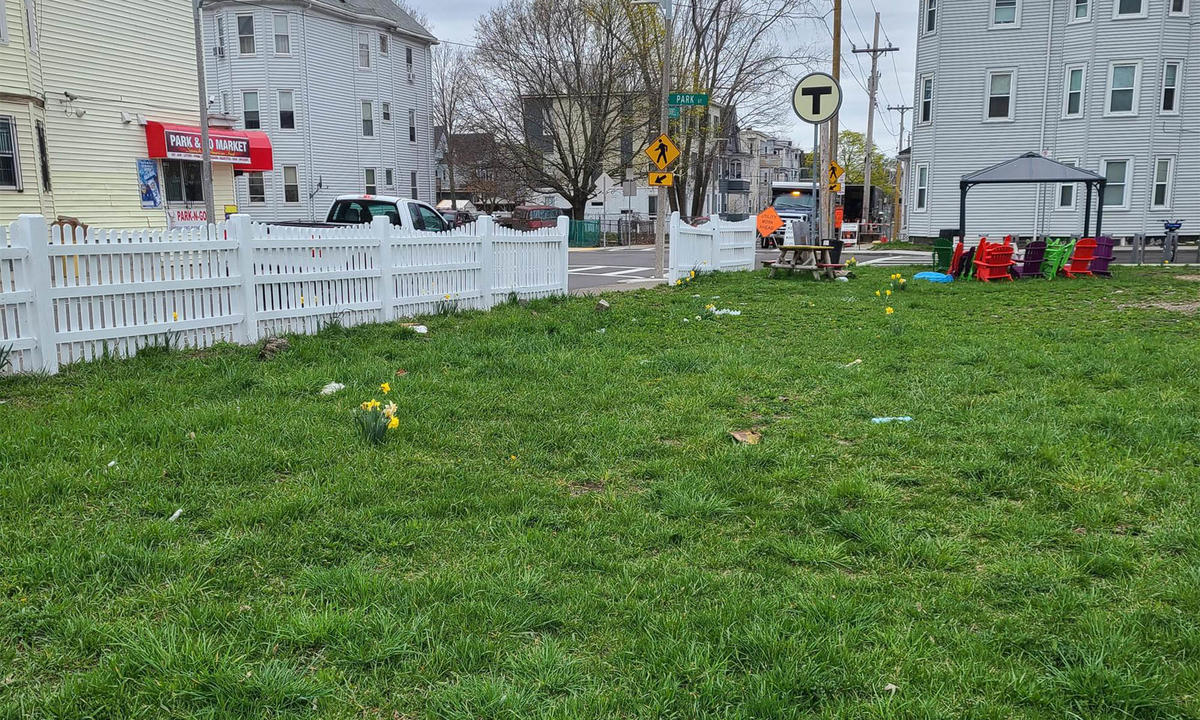 Design of Norwell Street Park Boston.gov