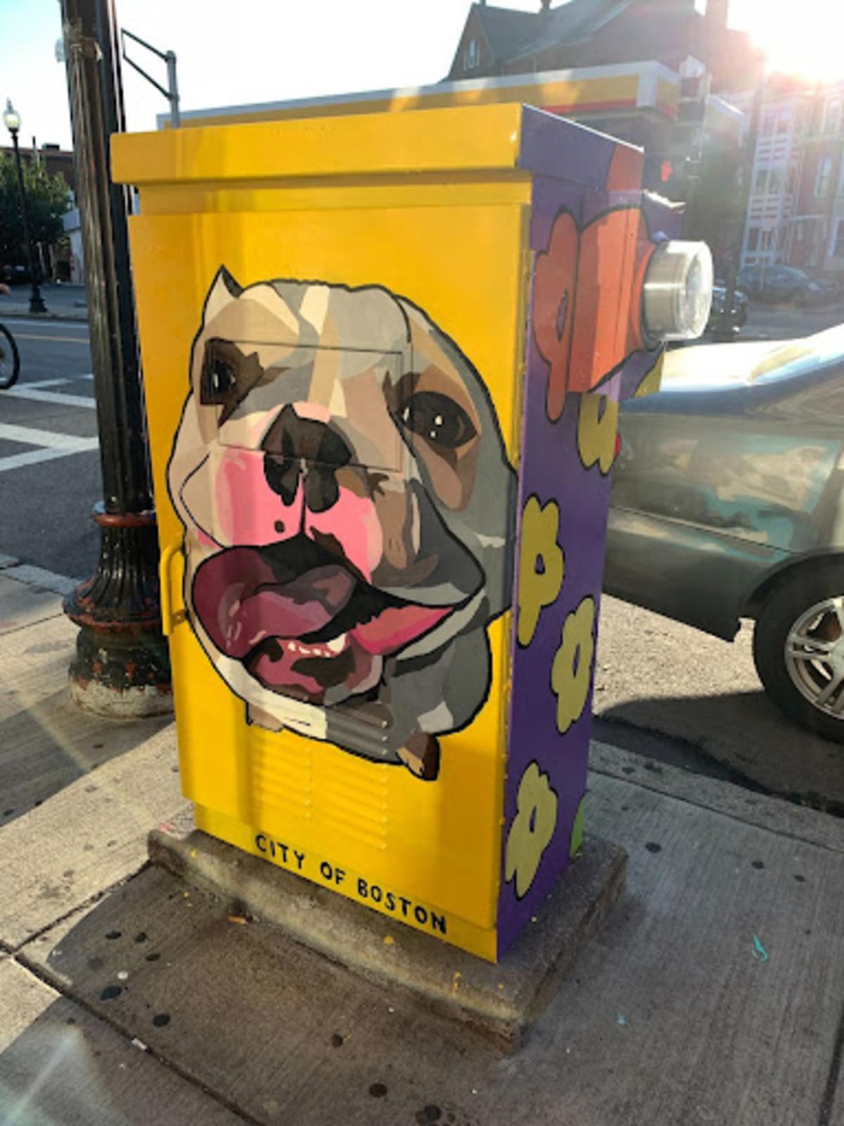 Yellow PaintBox with image of Dog in the center by Emma Tavolieri