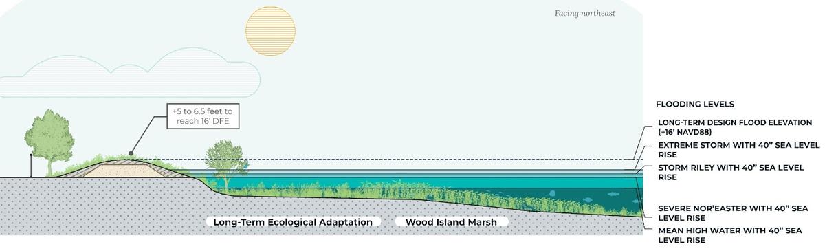 Graphic of Wood Island Marsh Section in East Boston