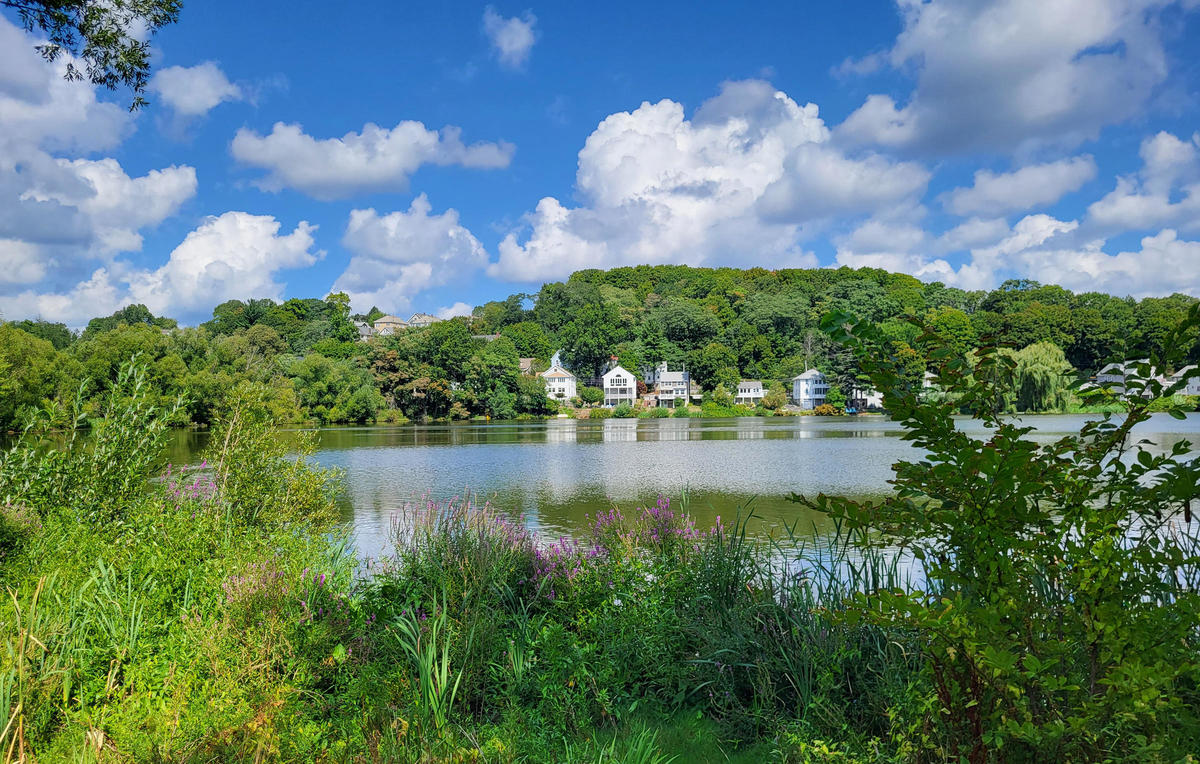 Improvements to Chandler Pond (Gallagher Memorial Park) Boston.gov