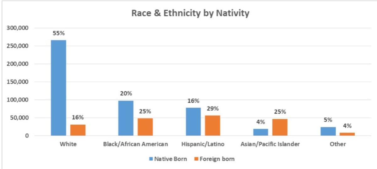 race and ethnicity 