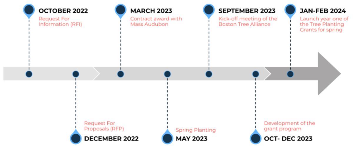 Boston Tree Alliance Project Timeline