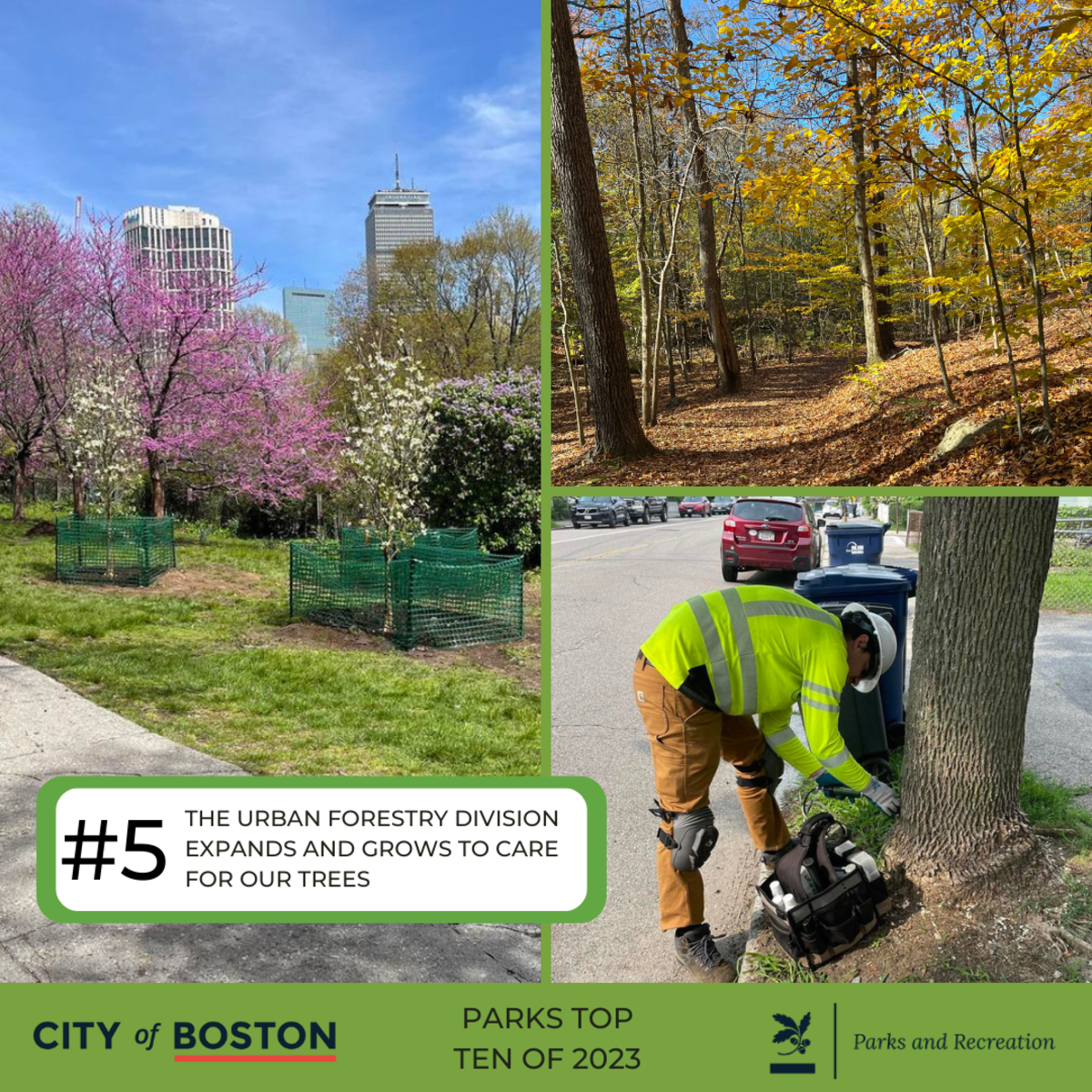 5. THE URBAN FORESTRY DIVISION EXPANDS AND GROWS TO CARE FOR OUR TREES. Trees planted, forest, a worker injecting a tree.