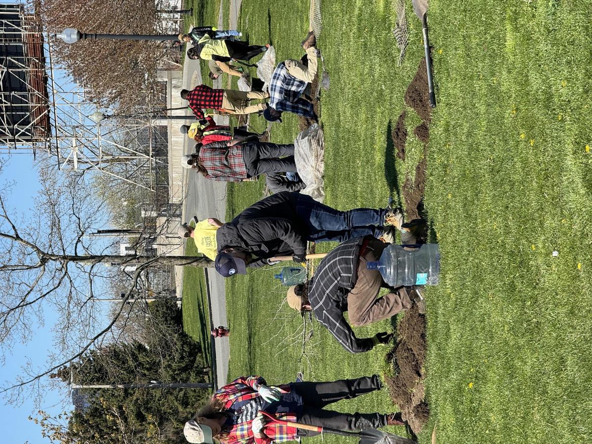 Batches of volunteers work in clusters around trees they are planting, extending from the foreground on the left to the far background on the right. Many are wearing plaid.