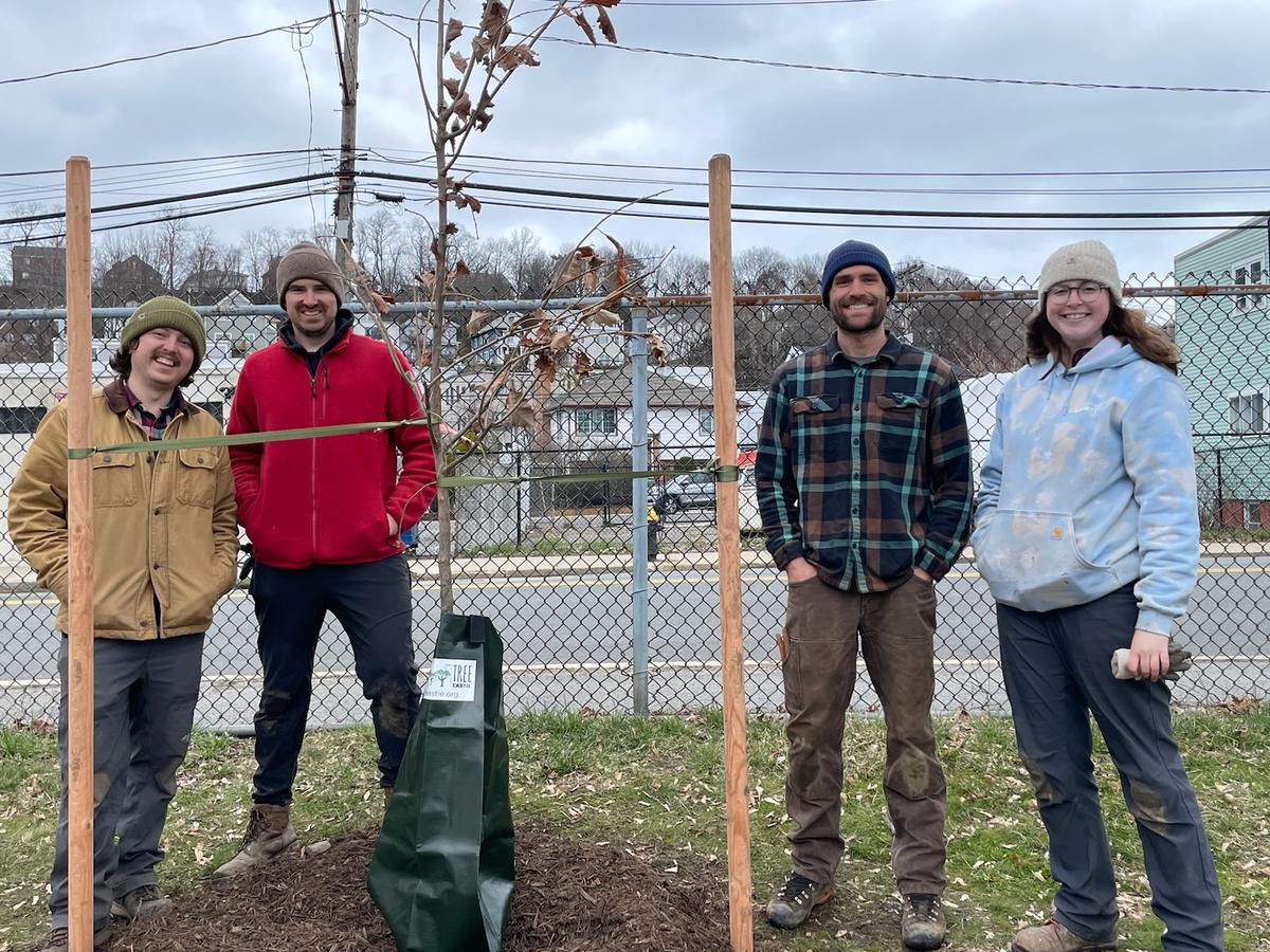 Four arborists stand smiling around a newly planted tree on an overcast day.