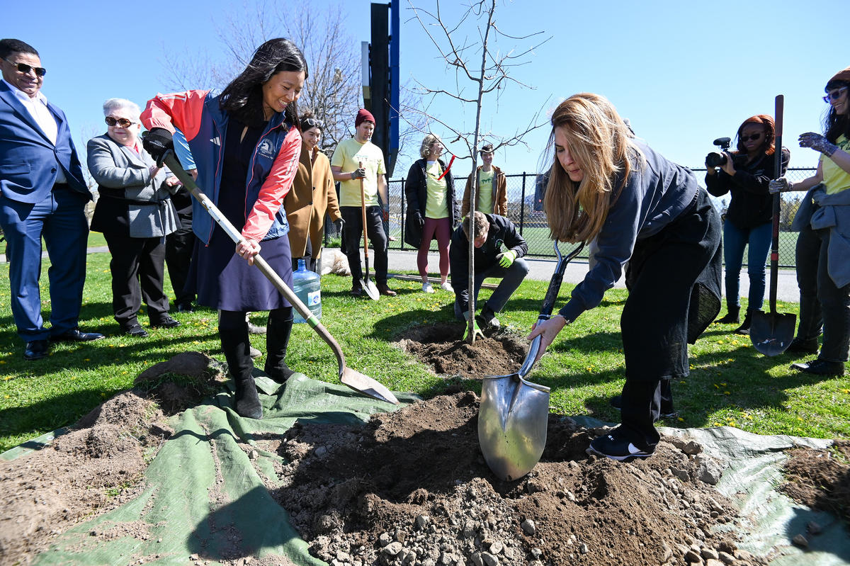 Mayors Wu and Mejía shovel dirt to plant an oak seedling. Many people look on.