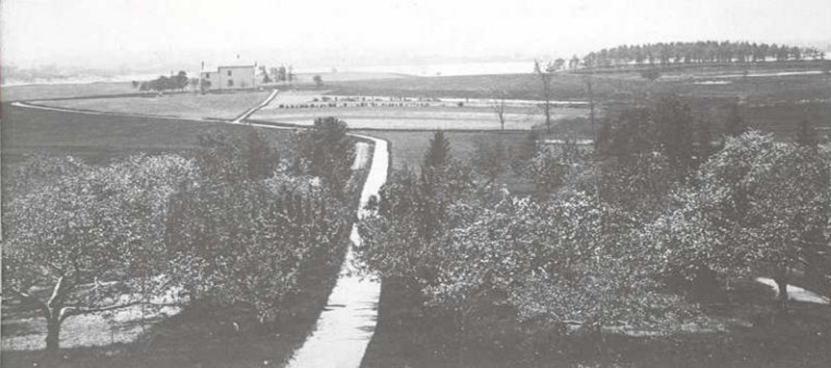 Black and white image of a farm with a path and trees