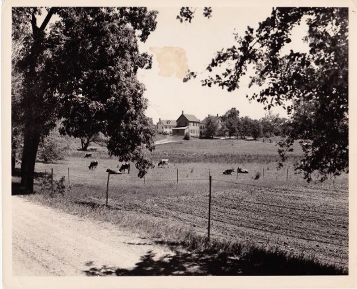 black and white image of a farm