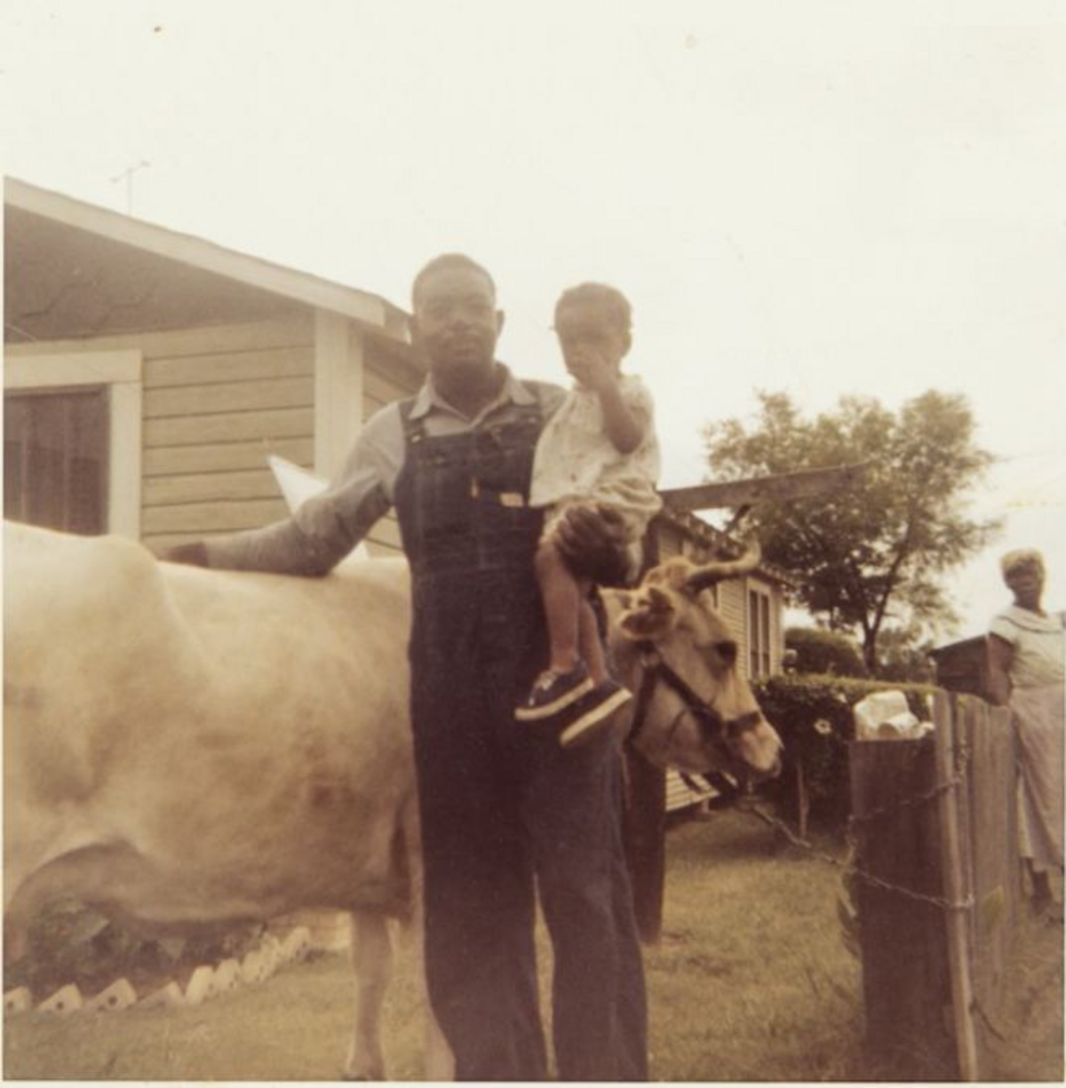An image of a man in overalls with one arm on a cow and the other holding a small child