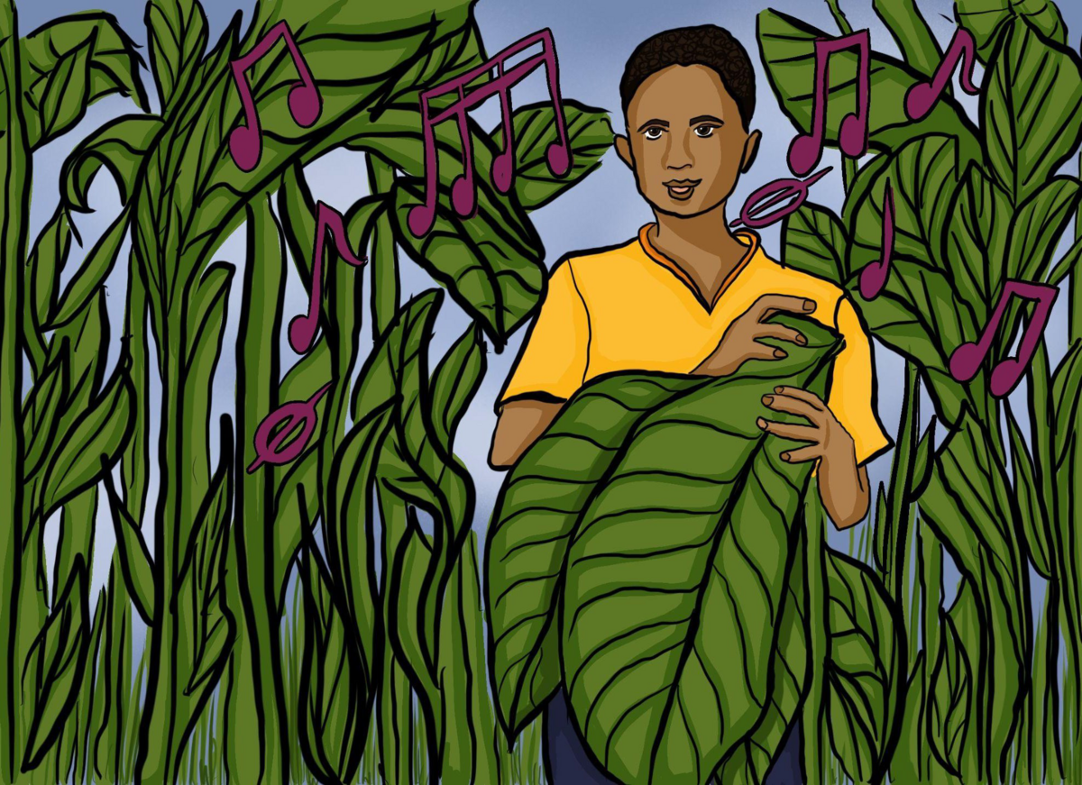A drawing of a boy holding tobacco leaves with music notes around his head