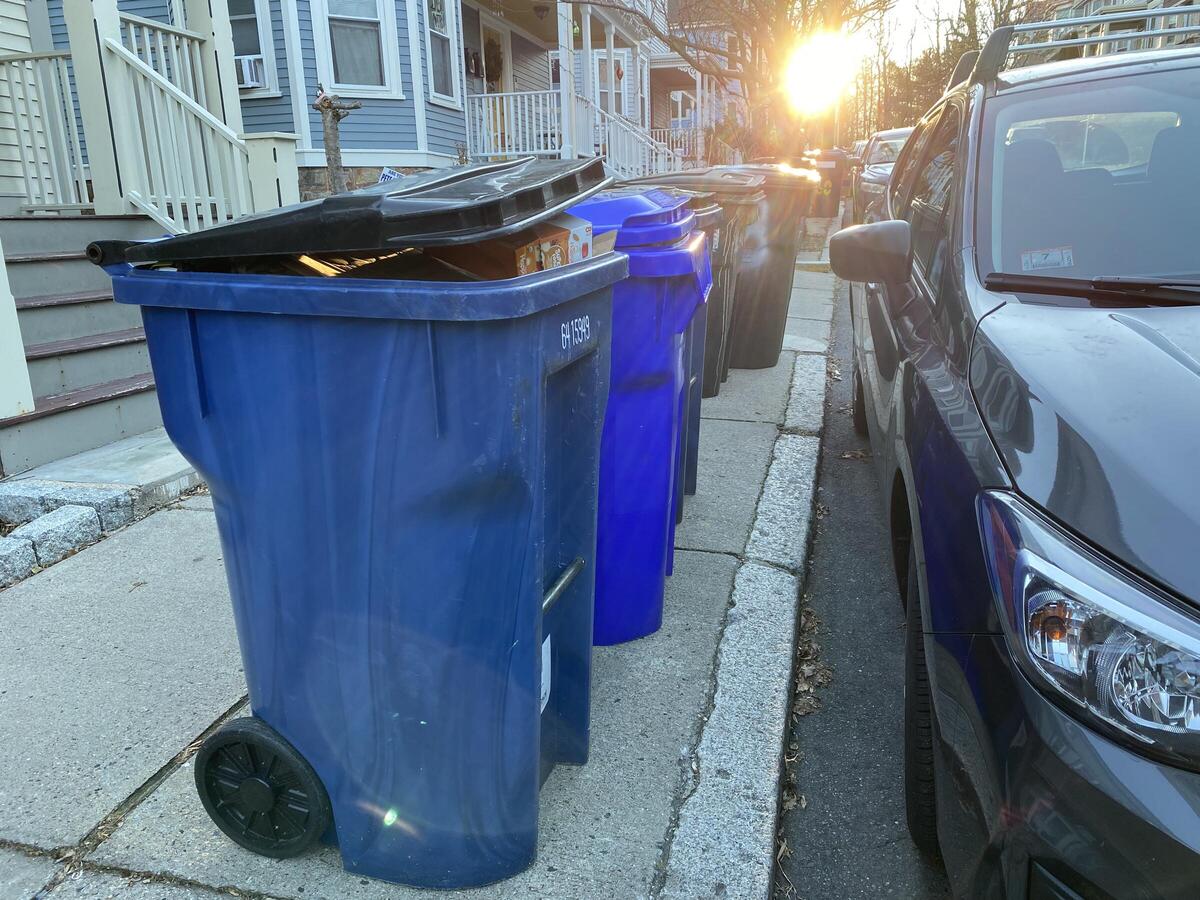 Rat Prevention Initiatives in Dense Residential Areas